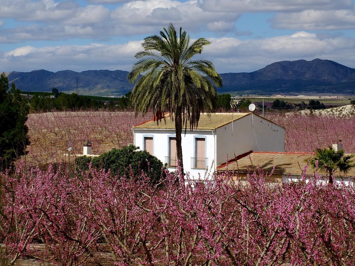 La Joya Del Valle De Ricote (Adults Only) Villanueva de Rio Segura Exterior photo